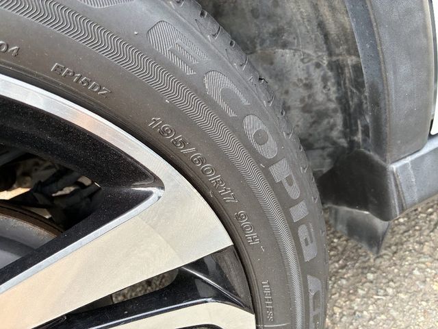 RAIZE