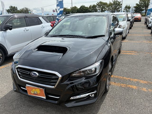 LEVORG