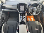 LEVORG LAYBACK