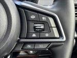 LEVORG LAYBACK
