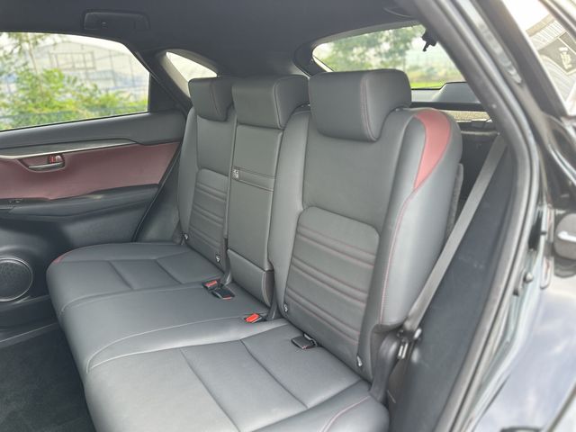 LEXUS NX300