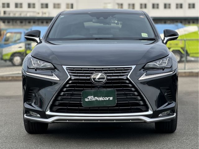 LEXUS NX300