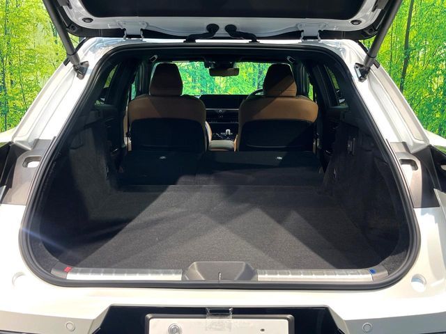 CROWN SPORT