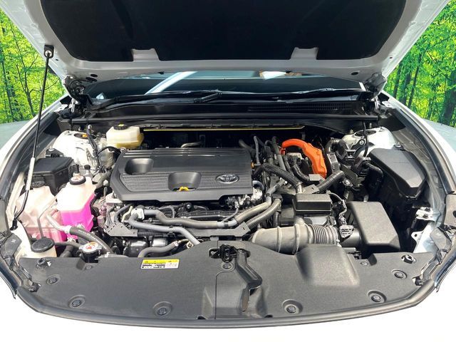 CROWN SPORT