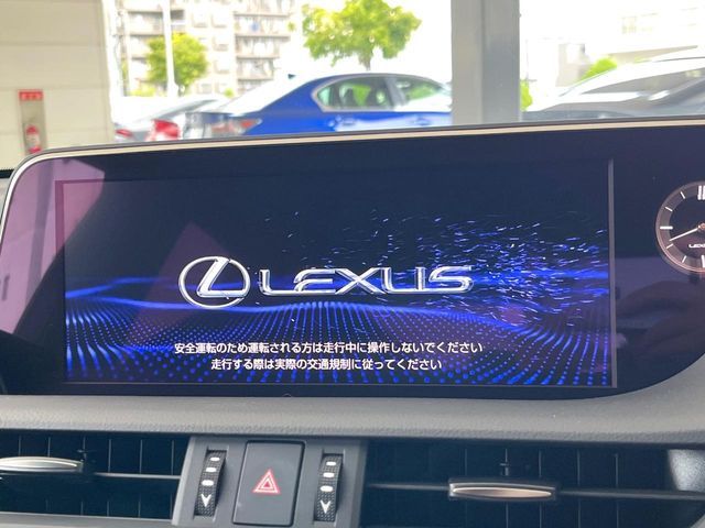 LEXUS ES300h