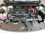 CROWN SPORT