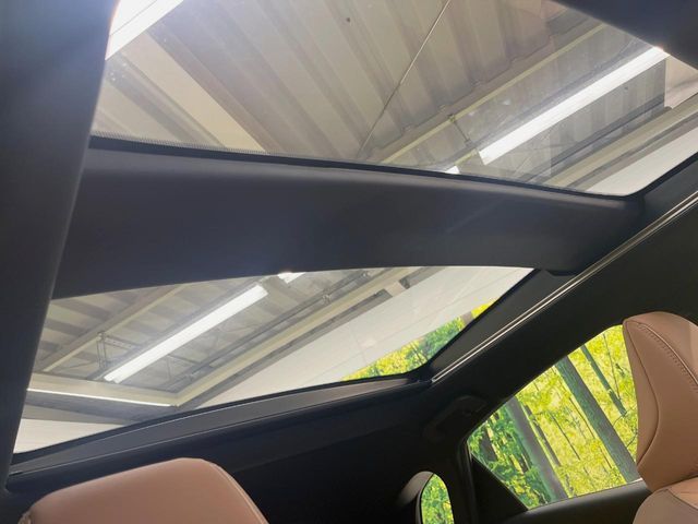 CROWN SPORT