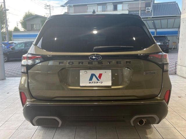 FORESTER