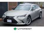 LEXUS ES300h
