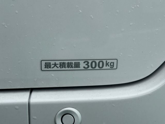 N-VAN e: