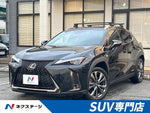 LEXUS UX250h