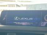 LEXUS UX250h