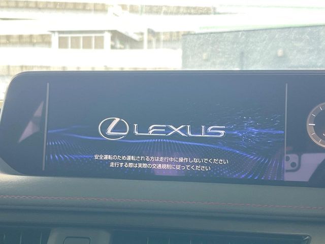 LEXUS UX250h