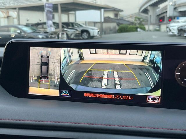LEXUS UX250h