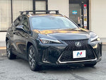 LEXUS UX250h