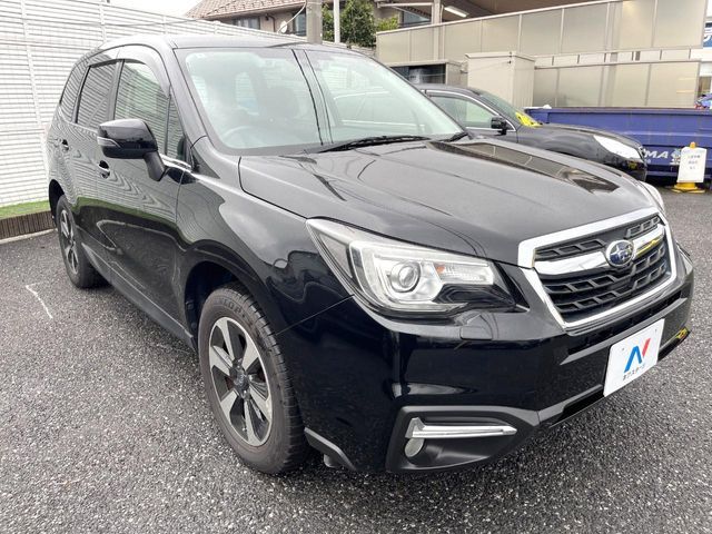 FORESTER