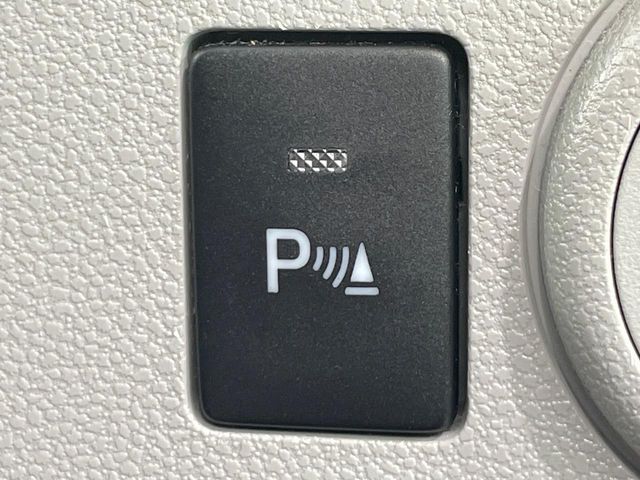 MIRA e:S