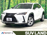 LEXUS UX250h