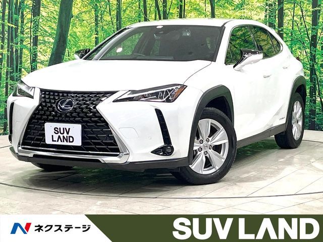 LEXUS UX250h