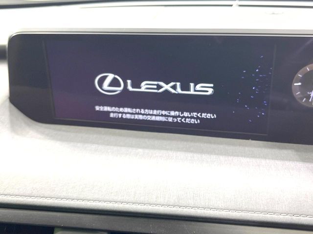 LEXUS UX250h