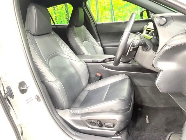 LEXUS UX250h