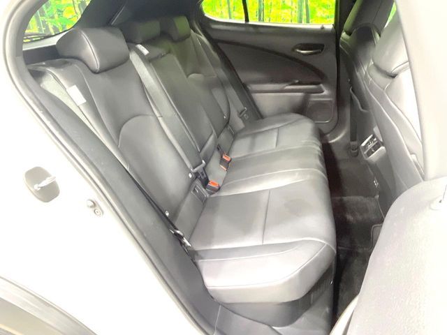LEXUS UX250h