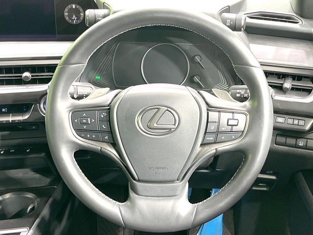 LEXUS UX250h
