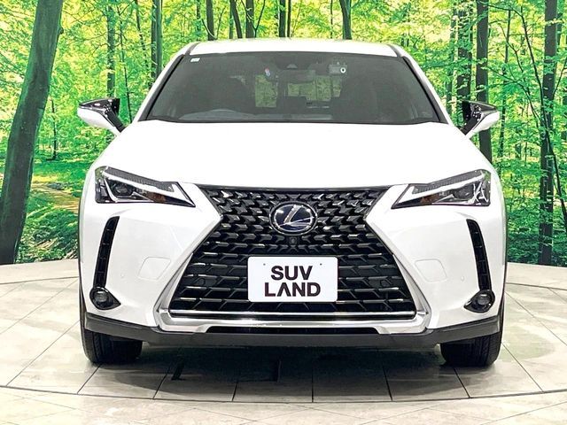 LEXUS UX250h