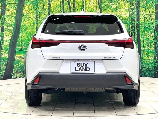 LEXUS UX250h