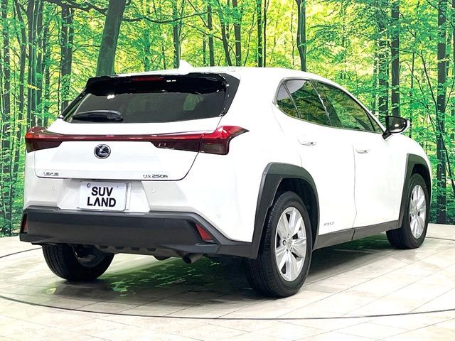 LEXUS UX250h