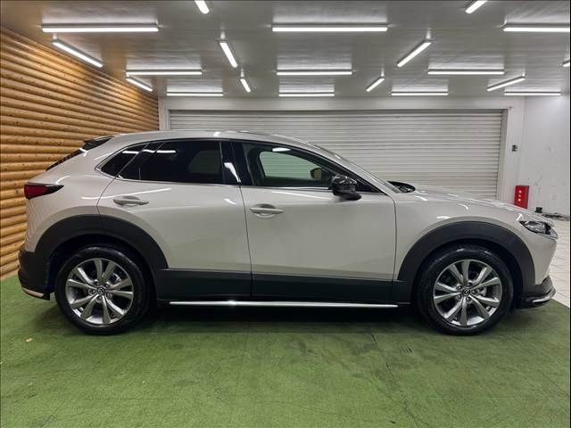 CX-30