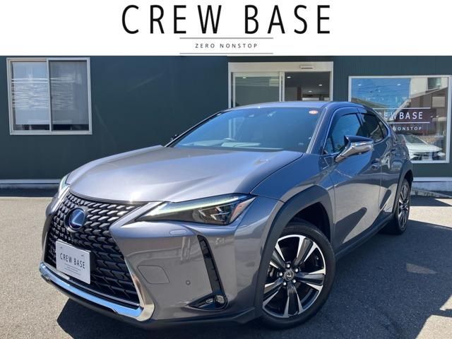 LEXUS UX250h