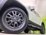 LANDCRUISER 250