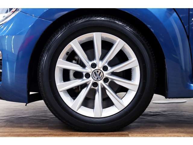 VOLKSWAGEN The BEETLE