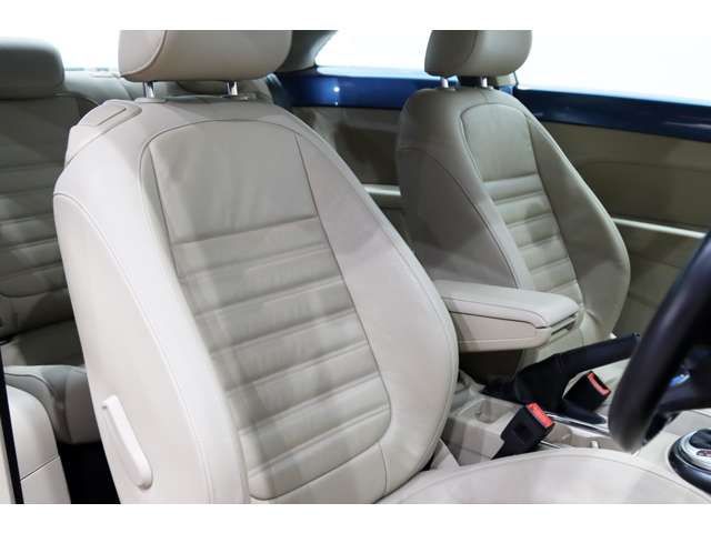 VOLKSWAGEN The BEETLE