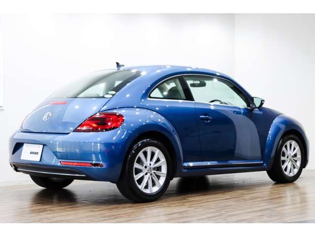 VOLKSWAGEN The BEETLE