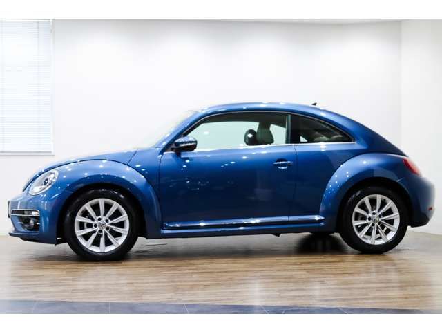 VOLKSWAGEN The BEETLE