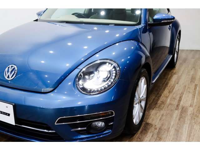 VOLKSWAGEN The BEETLE