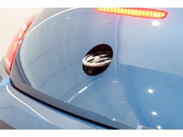 VOLKSWAGEN The BEETLE