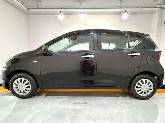 PLEO PLUS