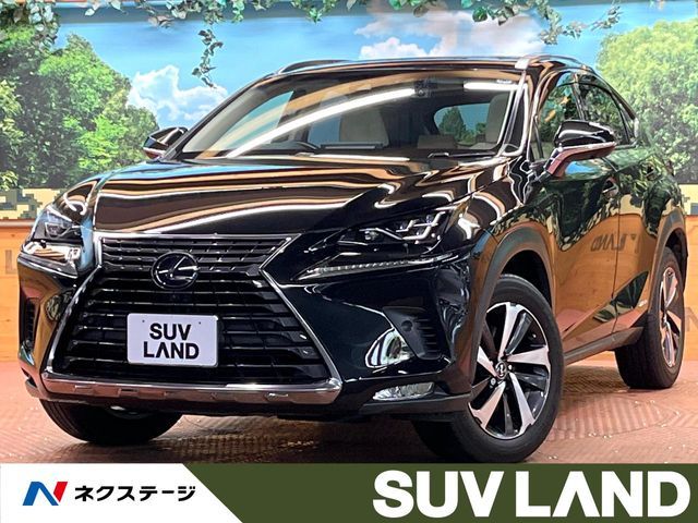 LEXUS NX300h AWD