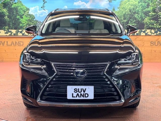 LEXUS NX300h AWD