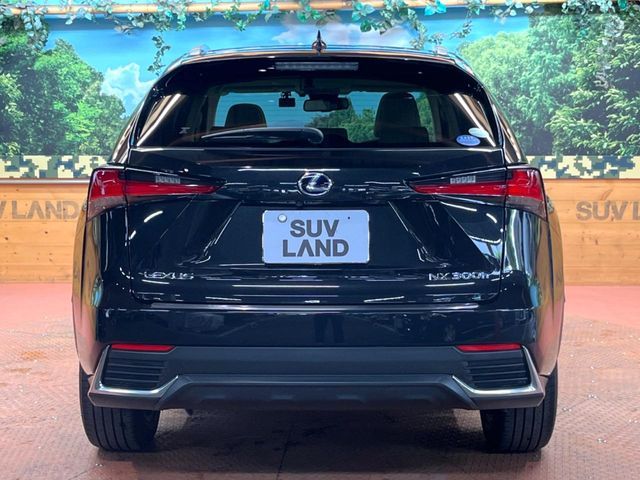 LEXUS NX300h AWD