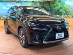 LEXUS NX300h AWD