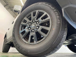 LANDCRUISER 250
