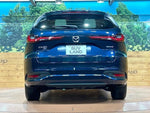 CX-80