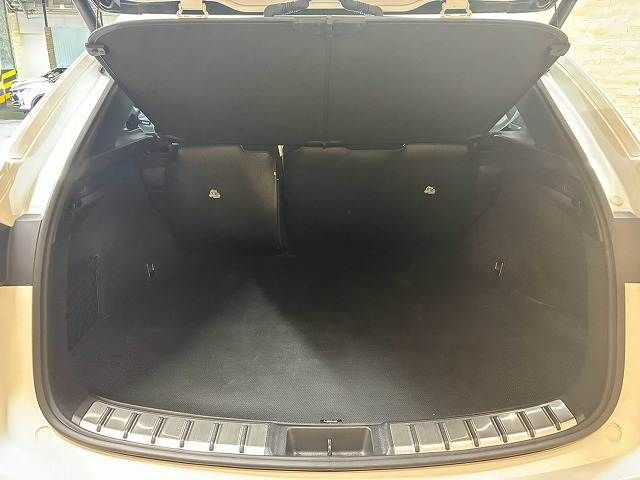 LEXUS NX350h