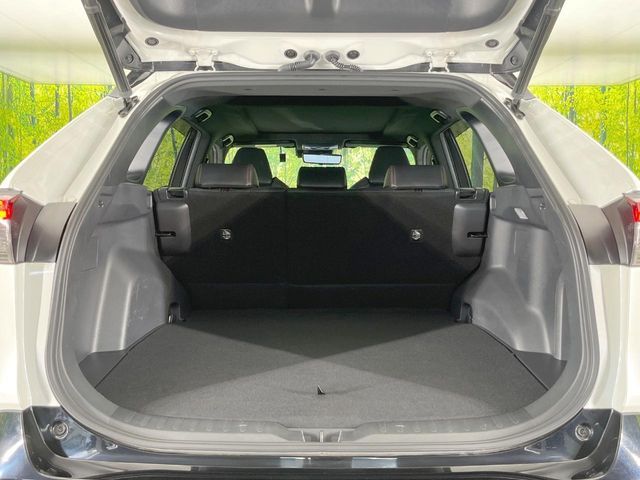 RAV4 PHV
