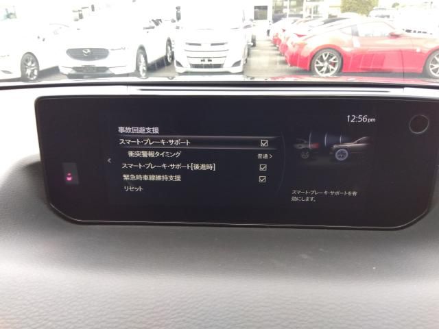 MX-30 Rotary-EV