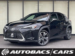 LEXUS UX300h